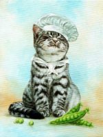 Набор алмазной вышивки "Кот поваренок"