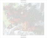 Набор для рисования картин по номерам (раскраска) "Грозди рябины"