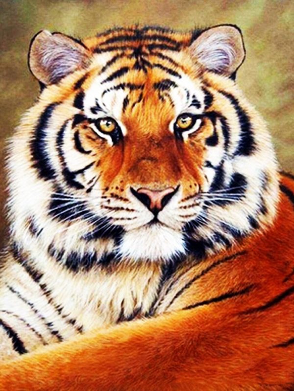 Набор для рисования картин по номерам "Величественный тигр"