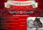 Набор для рисования картин по номерам (раскраска) "Волки - Инь и Янь"