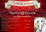 Набор для рисования картин по номерам (раскраска) "Белая лошадь"