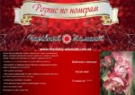 Набор для рисования картин по номерам (раскраска) "Бабочка в пионах"