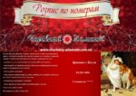 Набор для рисования картин по номерам (раскраска) "Купание с Колли"