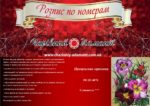 Набор для рисования картин по номерам (раскраска) "Прекрасная гармония"