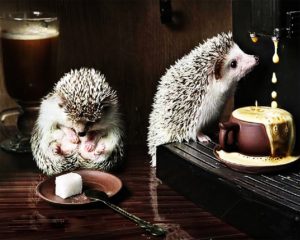 Набор для рисования картин по номерам (раскраска) "Утренний кофе"