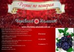 Набор для рисования картин по номерам (раскраска) "Ежевика"
