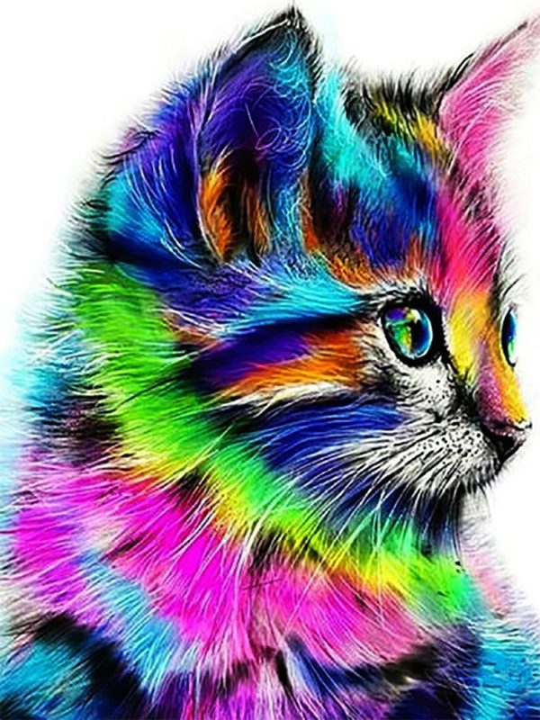 Набор для рисования картин по номерам (раскраска) "Радужный котик"