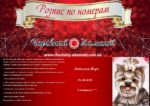 Набор для рисования картин по номерам (раскраска) "Любимый Йорк"