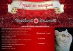 Набор для рисования картин по номерам (раскраска) "Преданный взгляд"