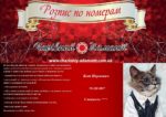 Набор для рисования картин по номерам (раскраска) "Кот Наумович"