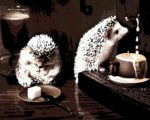 Набор для рисования картин по номерам (раскраска) "Утренний кофе"