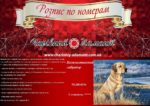 Набор для рисования картин по номерам "Величественный лабрадор"